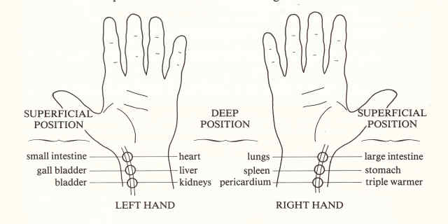 Wrist Chi Pulses